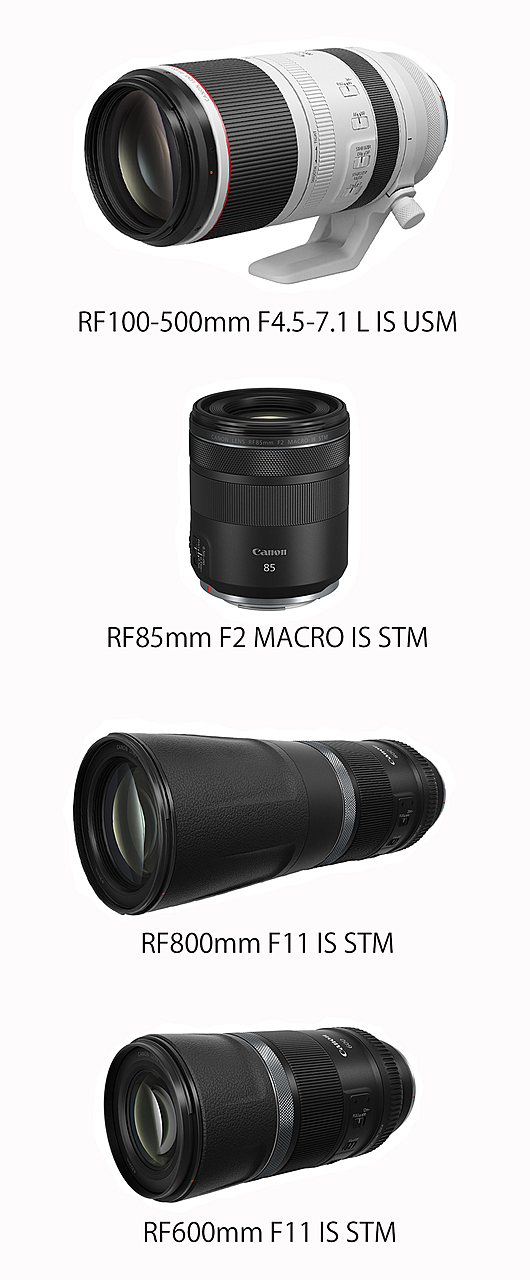 スマホ/家電/カメラキヤノン Canon RF100-500mm F4.5-7.1 L IS USM